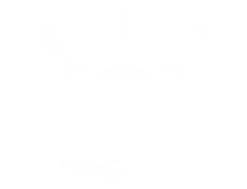 Our Vision